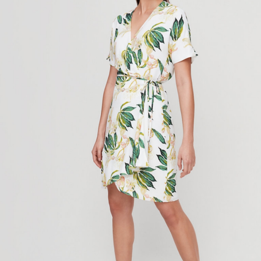 Aritzia Baton Wallace Dress